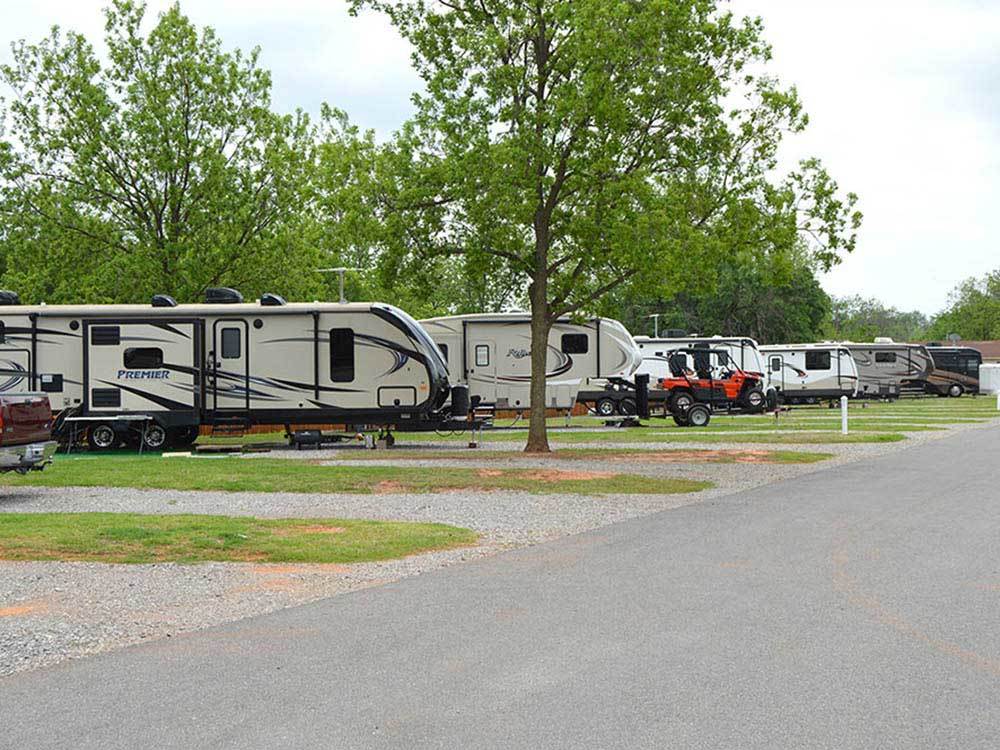 A row of RV sites shaded by pecan trees